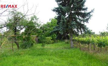 Prodej vinného sklepa, 45 m&sup2;, Vrbovec | RE/MAX Profi Reality Znojmo